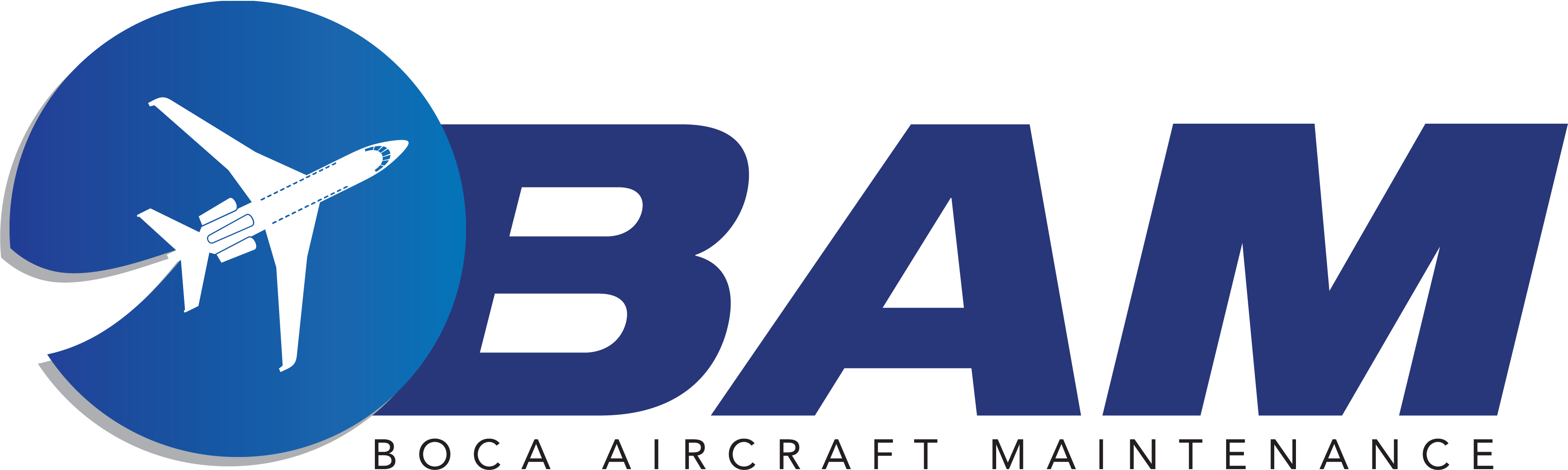 BAM Logo
